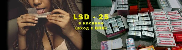 твердый Богданович