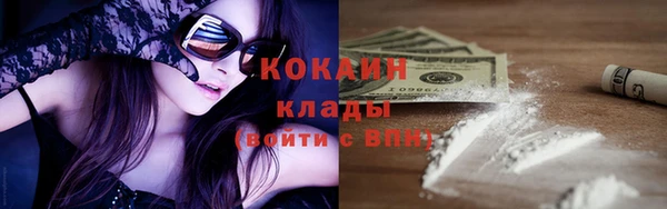 твердый Богданович