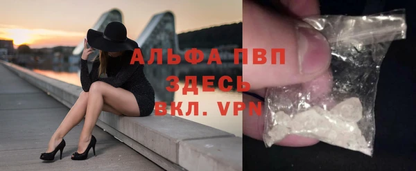 твердый Богданович