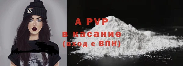 твердый Богданович