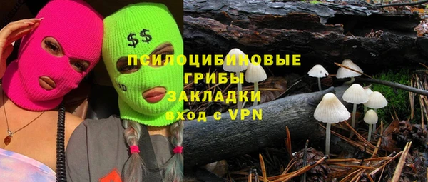 прущая мука Богородицк