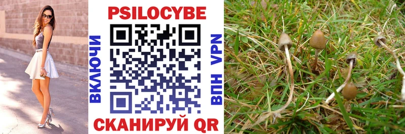 Галлюциногенные грибы мухоморы  Дрезна 
